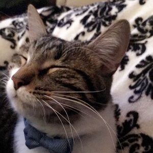 Meet your Posher, Catherine